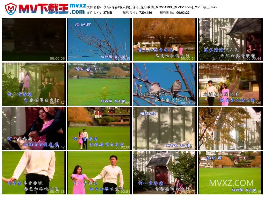 佚名-青春岭(人物)_台语_流行歌曲_MC501293